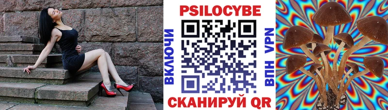 Псилоцибиновые грибы Cubensis  Фёдоровский 